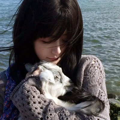 重生退婚妻第二季