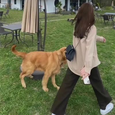 再见非洲